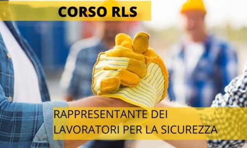 RAPPRESENTANTE DEI LAVORATORI PER LA SICUREZZA